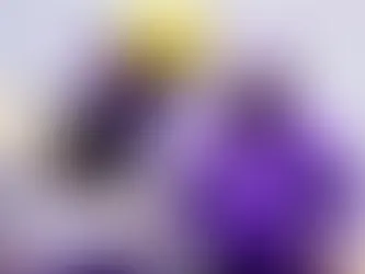 LSU'S 2026 DEFENSIVE LINE POSITION GROUP FOCUS