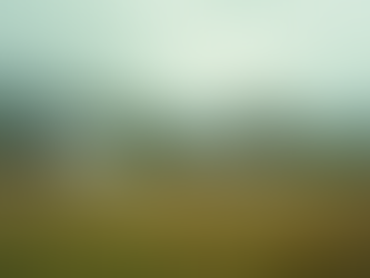 Transforming Rural Lives with Mental Health Initiatives in Central Utah