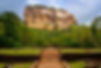 Le Rocher du Lion à Sigiriya, un site emblématique du Sri Lanka, avec ses imposantes falaises surplombant la jungle environnante, et les ruines d'une ancienne forteresse au sommet.
