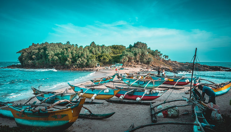Un groupe de bateaux de pêche traditionnels sri-lankais