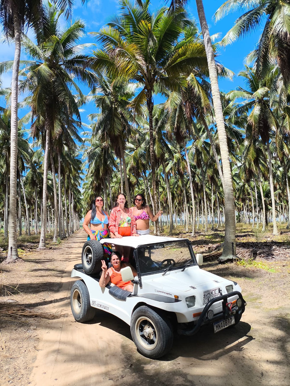 Miniatura: BUGGY - LITORAL NORTE