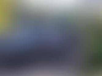 Bilen döps till Sandy