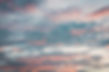 pexels-maxandrey-1254736.jpg