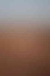 Mariage à Marrakech