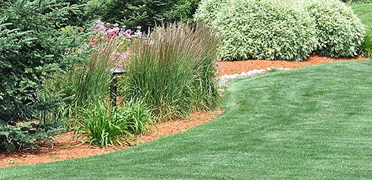 rubber-landscape-mulch.jpg