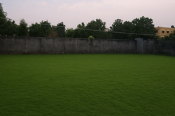 Green lawn with trees and wall background Balasore City, a beautiful scene.