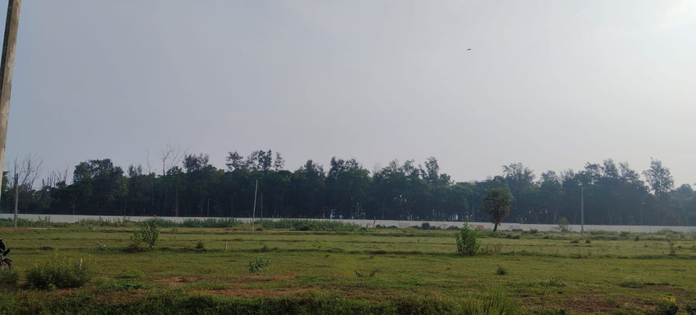Green field with trees in the background under cloudy sky.