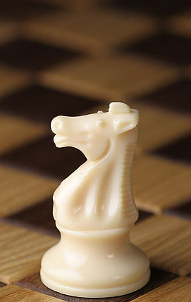 Chess_piece_-_White_knight.JPG