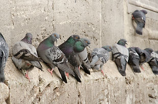 AdobeStock_64406157.jpeg