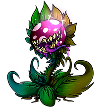 carnation.png