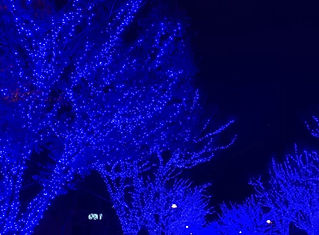 イルミネーション