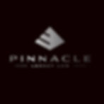 black silver logo.jpg