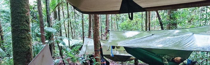 Borneo 22_edited.jpg