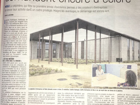Retrouvez l’article du Courrier Picard présentant une partie de mon activité