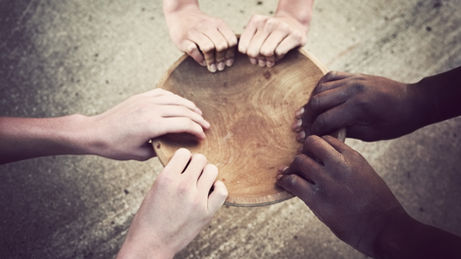 Celebrating Volunteer Week: How You Can Make a Difference with TreeSisters