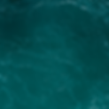 Copie de Salea - Logo (4).png