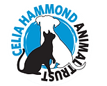 chat logo with white circle_edited_edite
