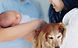 HanFamily-Newborn-20.jpg