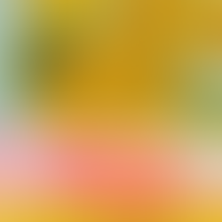 10月の予約開始です❗️