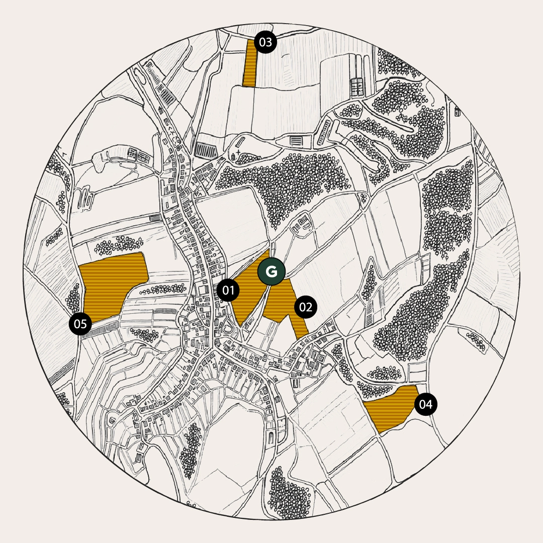 gurdau-map-1080.webp