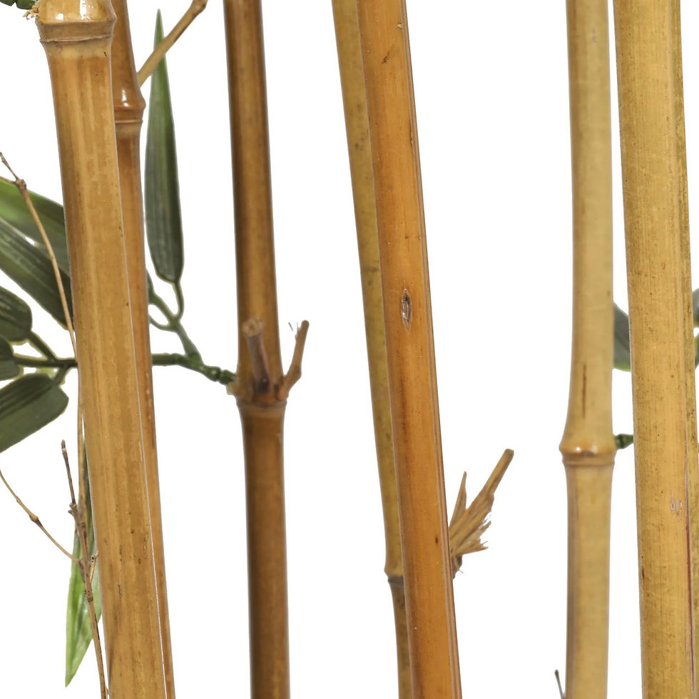 Miniatyrbilde: Bamboo Premium  - 180 cm Indoor / Outdoor