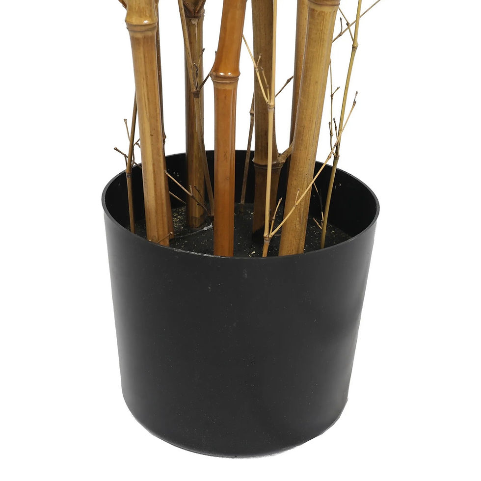 Miniatyrbilde: Bamboo Premium  - 180 cm Indoor / Outdoor