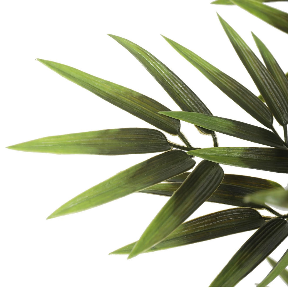 Miniatyrbilde: Bamboo Premium  - 180 cm Indoor / Outdoor
