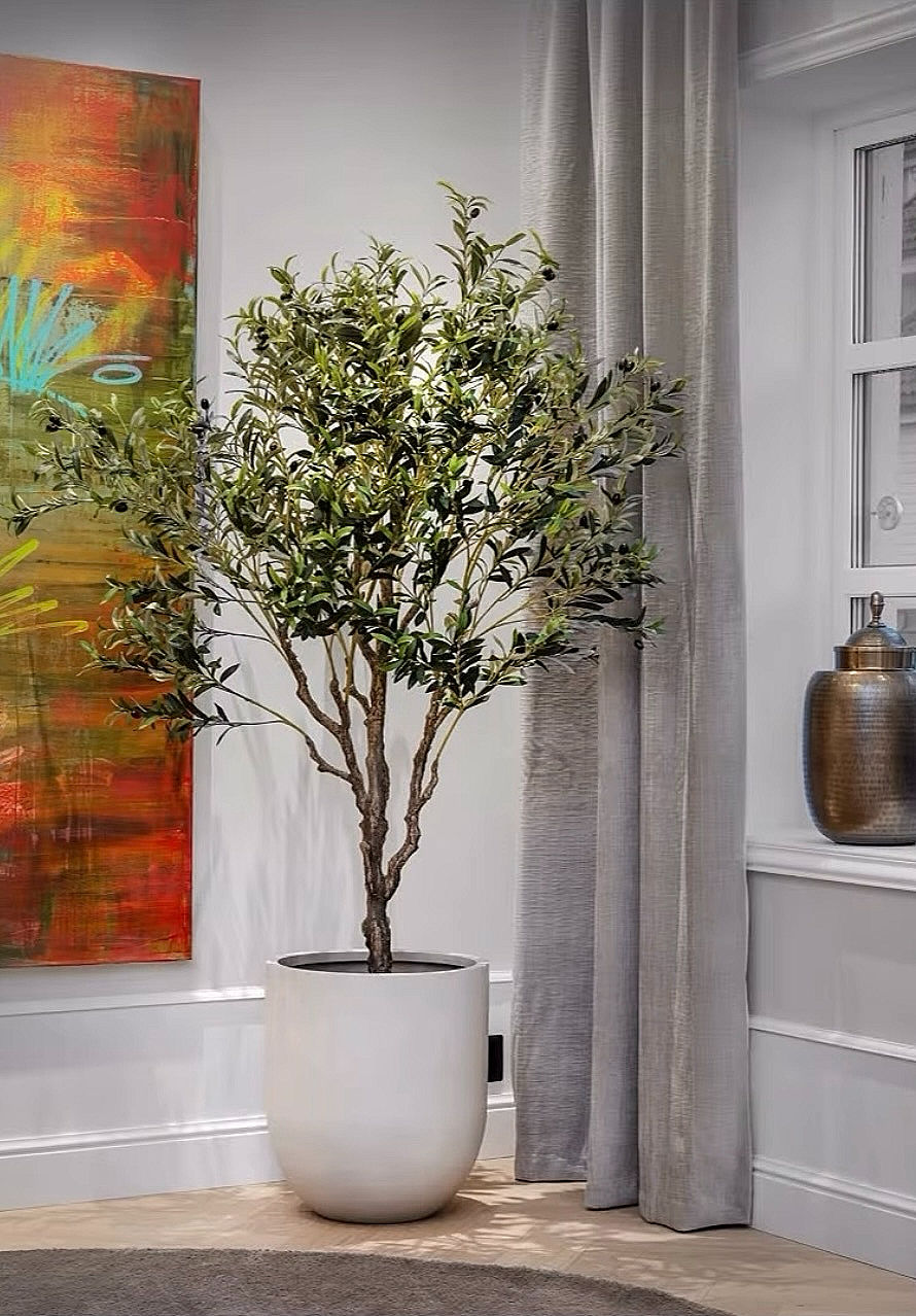 Miniatyrbilde: Oliven Tre - 200 cm Indoor