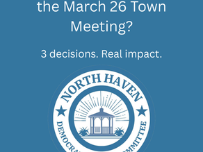March 26 Special Town Meeting Recap