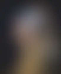 Vermeer's Secrets
