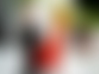 Meme Stocks are Back: How to trade