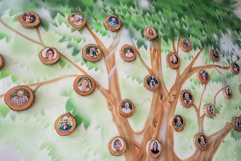 staff tree-3.jpg