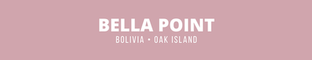 Bella Point New Home Community by DR Horton Bolivia NC