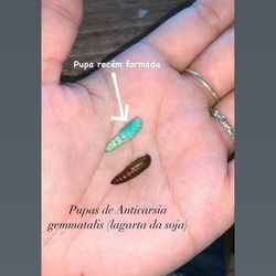 204278033_505242057419149_7361616014920974616_n