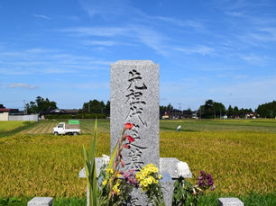 往復約3400Kmの墓じまい