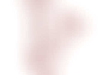 墓じまいで遺骨なし