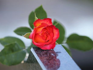 重なるときは重なる