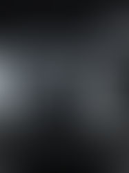 Tigre Royal : une collaboration inédite avec BACCARAT