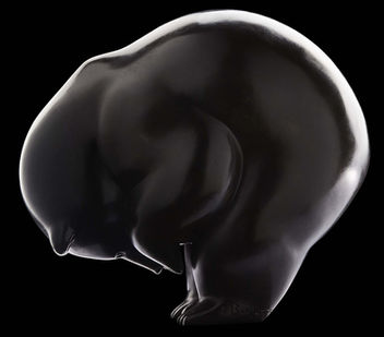Scultpure d'ours brun en bronze du sculpteur animalier Michel BASSOMPIERRE