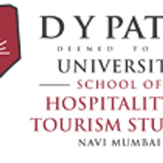 Writer: D.Y.Patil University SHTS