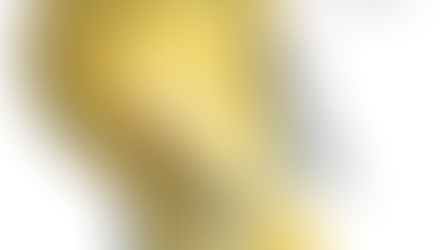 Le lion et l’oiseau