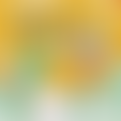 Un livre en cadeau, c’est du temps de qualité et de grands apprentissages. 