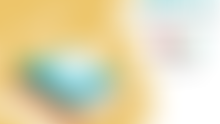 Présentation du projet le 2 mai 2022