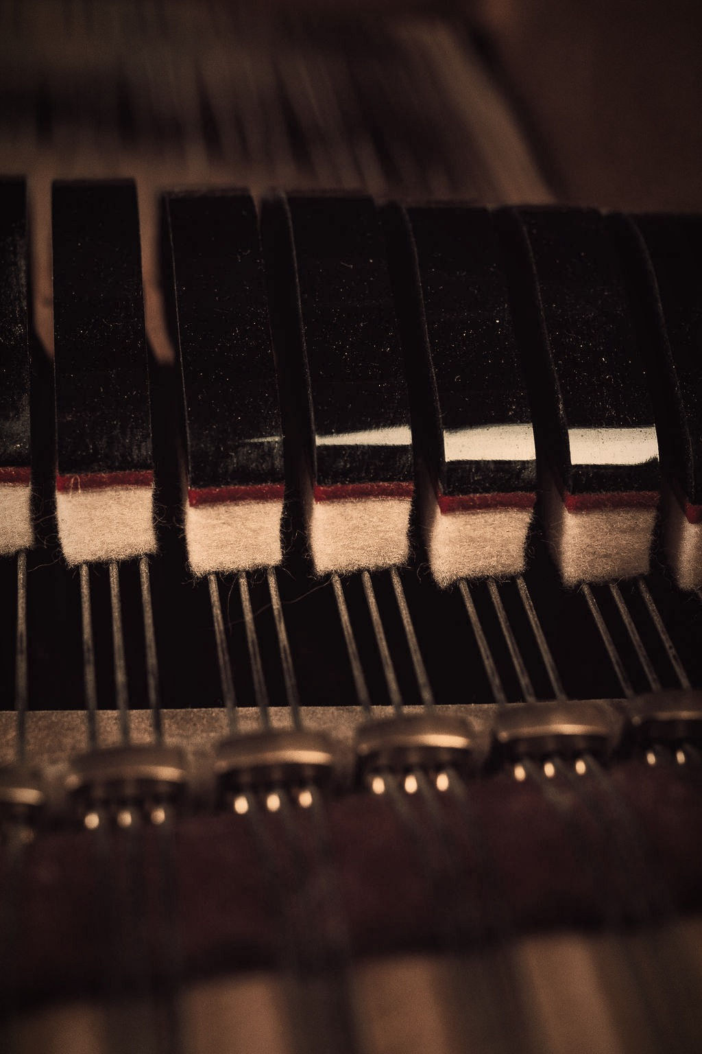 Café Terrace Retrospective Audio Track