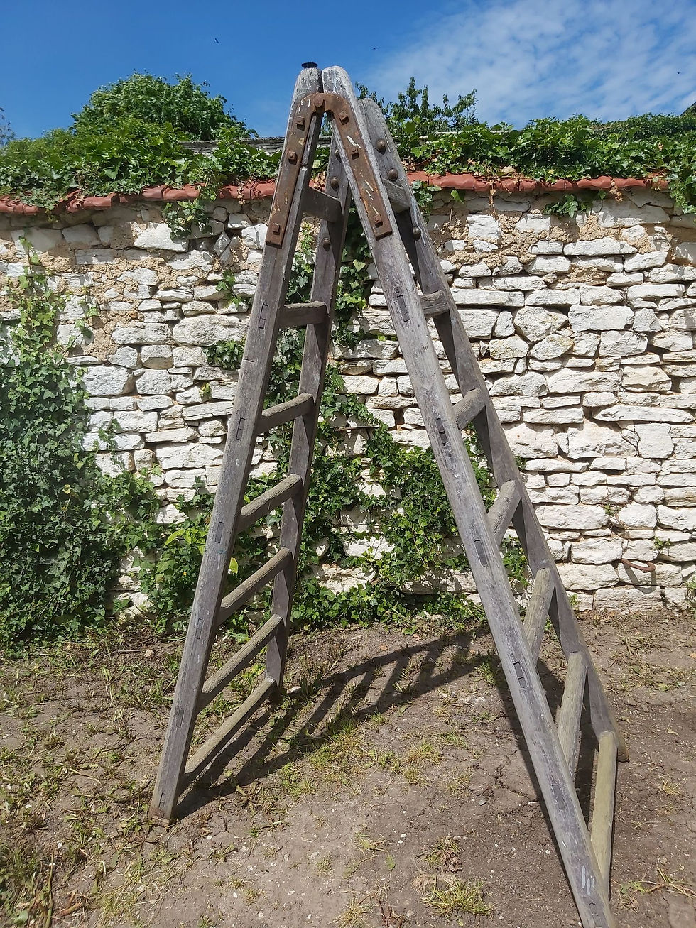 Miniature : Double échelle décorative