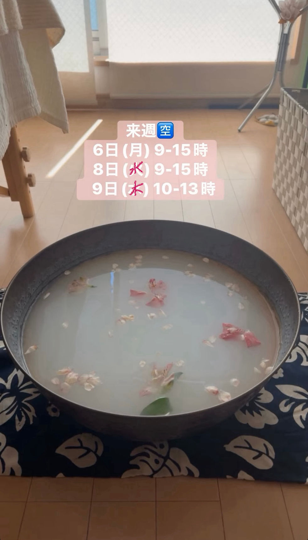 夏到来☀️