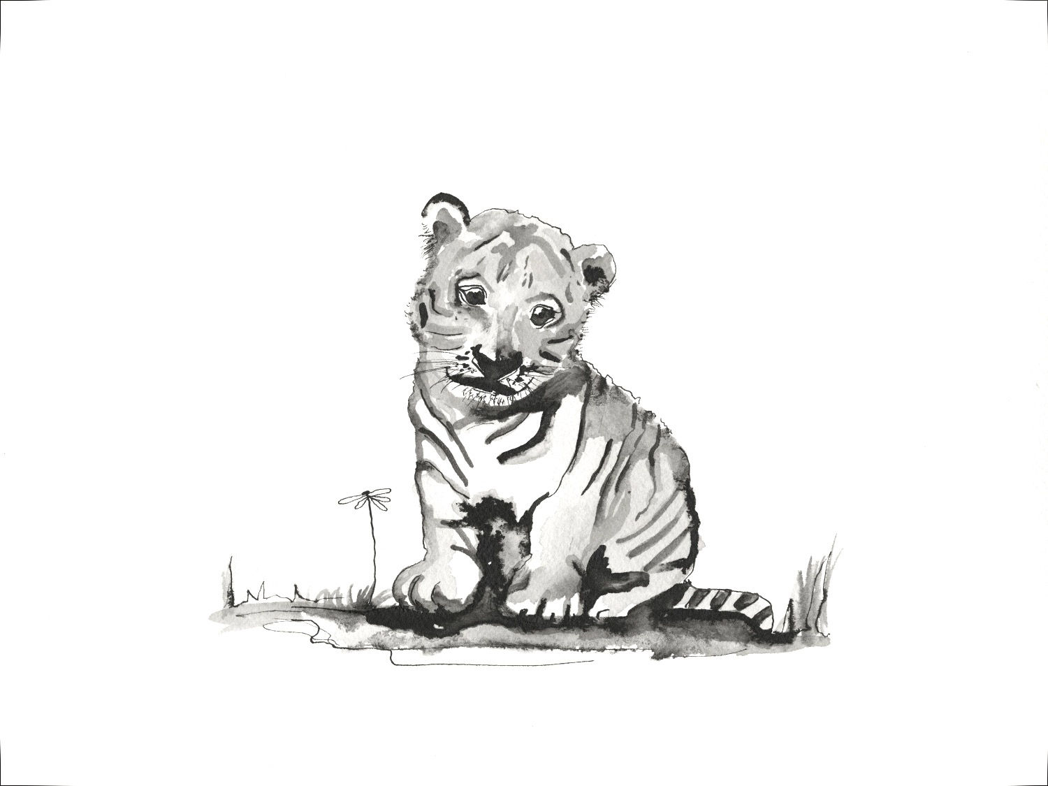 Tiger Cub