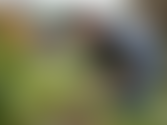 Empowering Veterans Through Agricultural Career Training