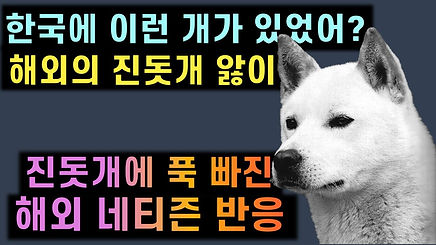 꽝.jpg