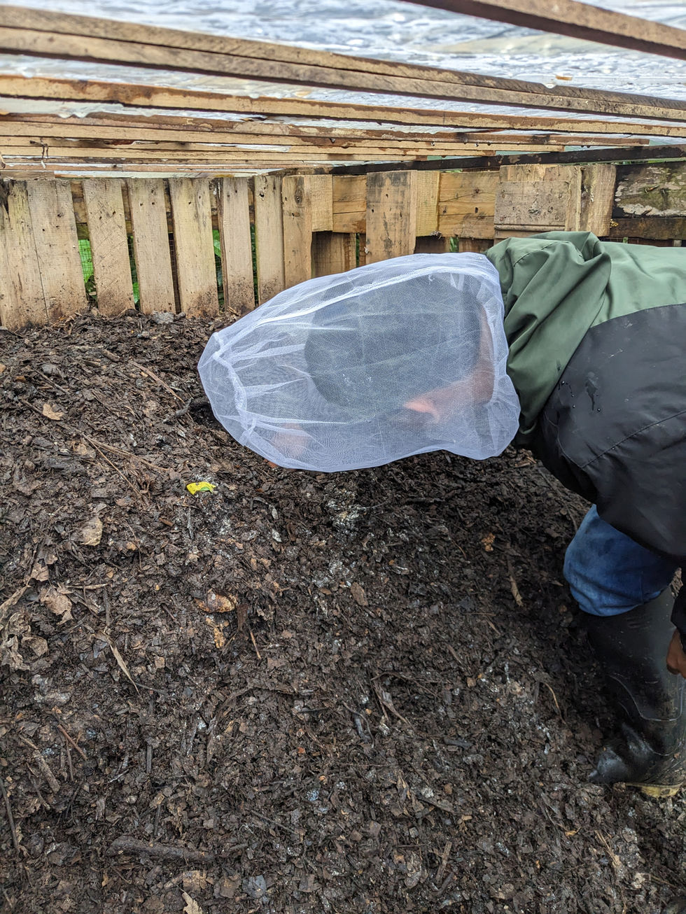 PXL_20230409_211146388.MP